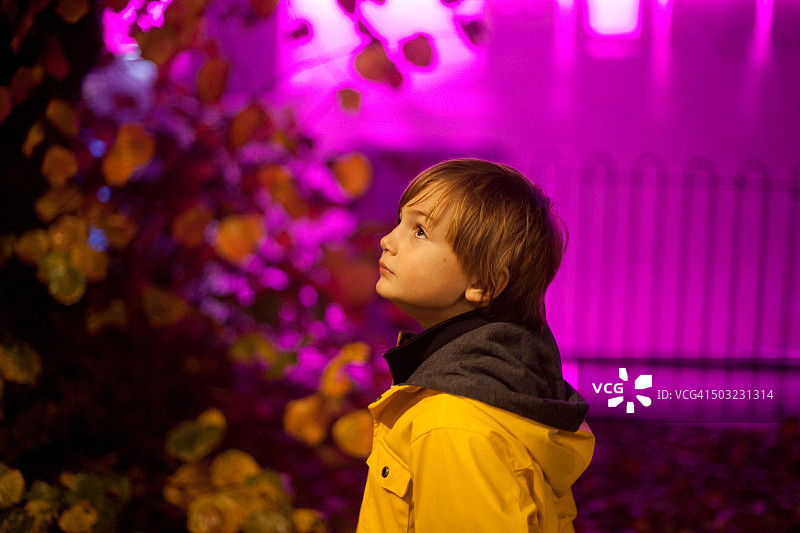 秋日傍晚的男孩图片素材