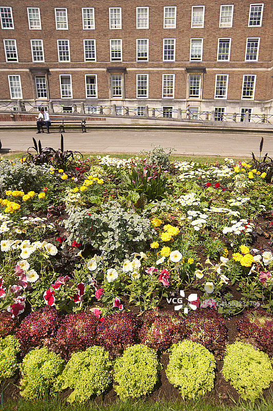 布里斯托市政厅前的食用蔬菜地图片素材