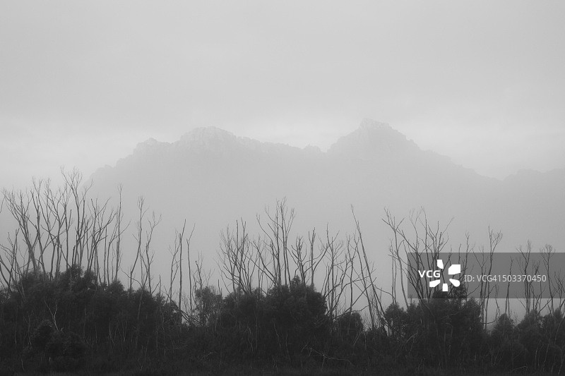 澳大利亚塔斯马尼亚西南国家公园亚瑟山脉西部的树木燃烧景象图片素材