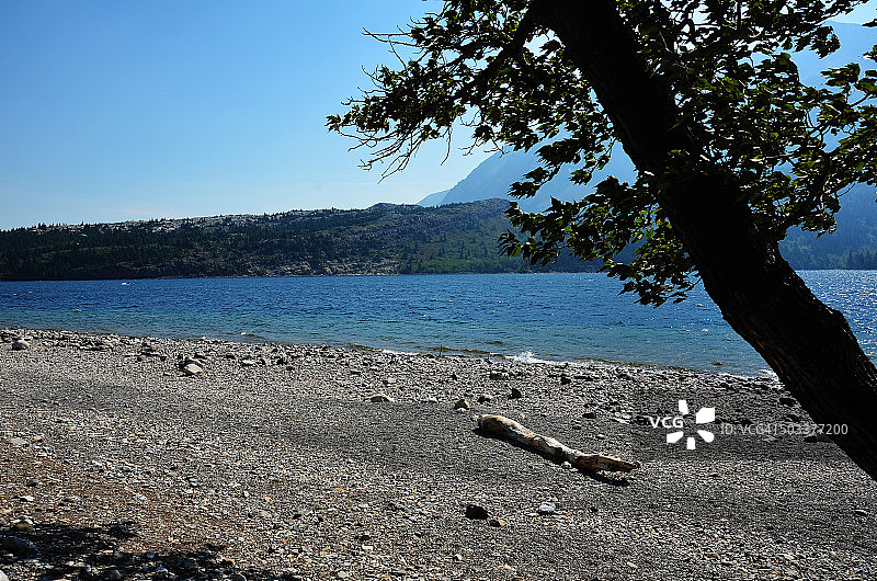 沃特顿漂流木图片素材