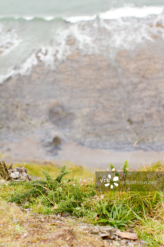 路径上的草图片素材