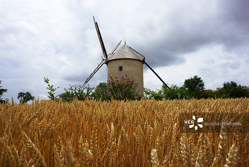 法国麦田与风车图片素材