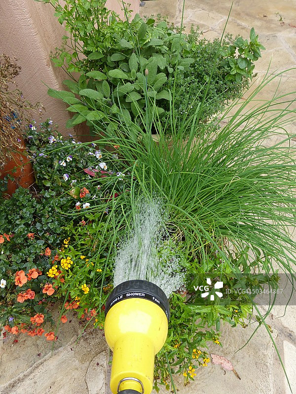 城市园艺图片素材