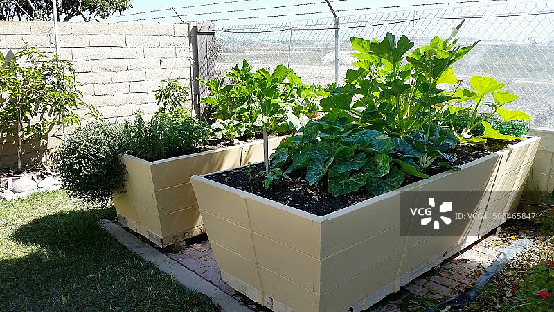 城市园艺图片素材