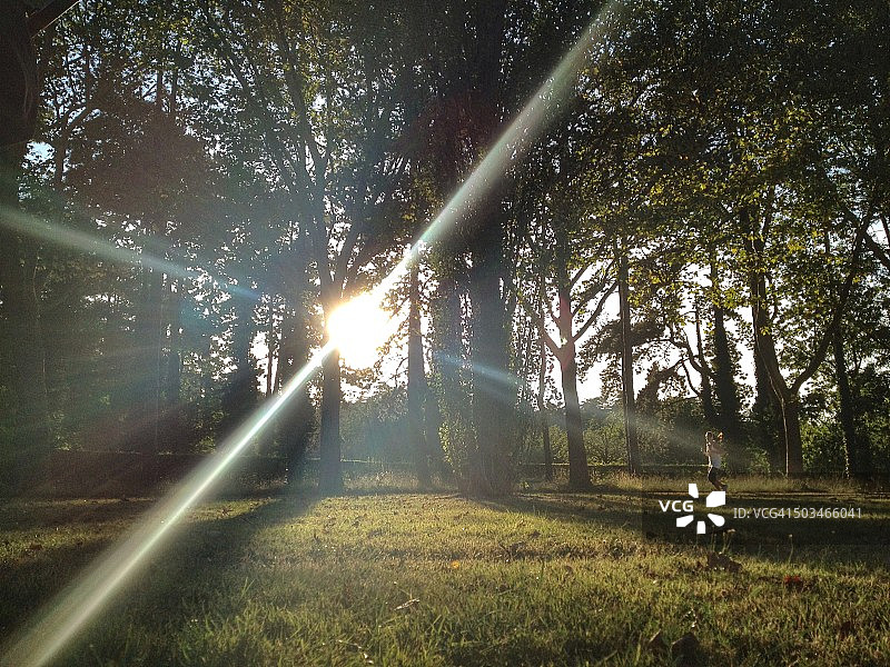 照亮阳光图片素材