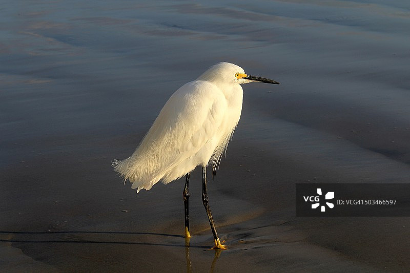 世界海洋日图片素材