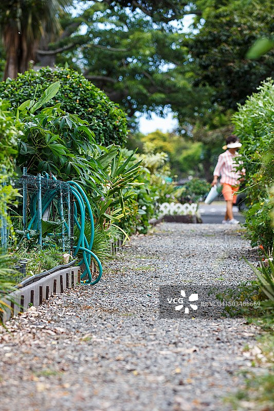 城市园艺图片素材