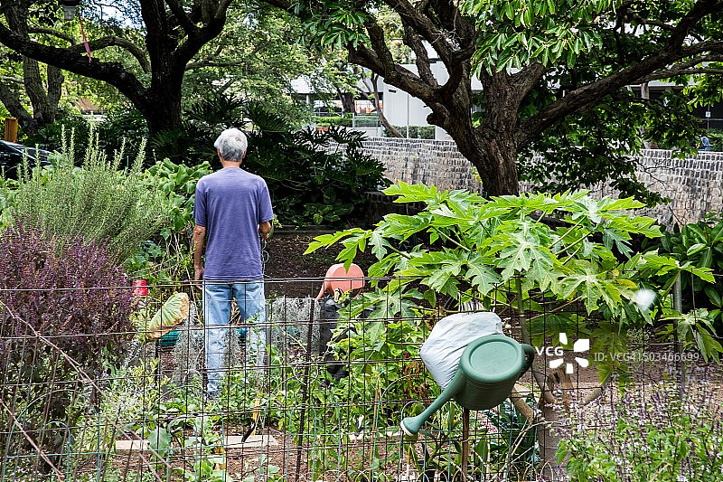 城市园艺图片素材