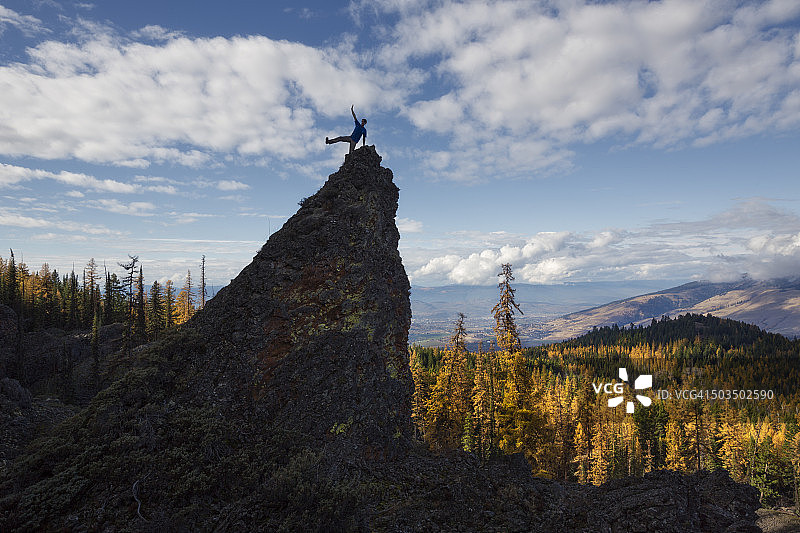 在岩石顶端触摸天空的人，背景是加拿大不列颠哥伦比亚省拉温顿的落叶松树图片素材