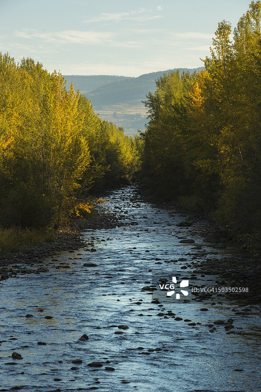 流经加拿大不列颠哥伦比亚省基洛纳市米申溪地区公园的米申溪图片素材