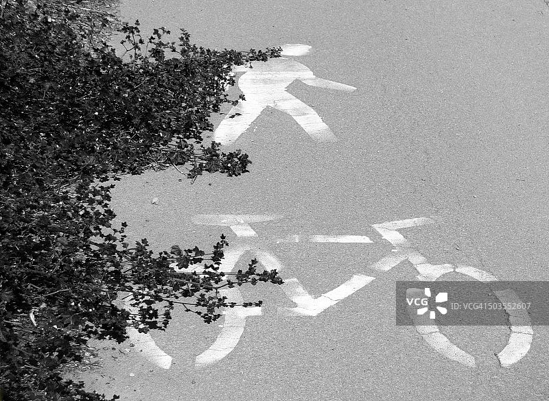 大自然的反击图片素材