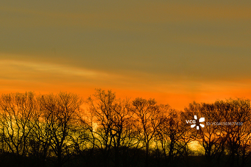 黄色黎明图片素材