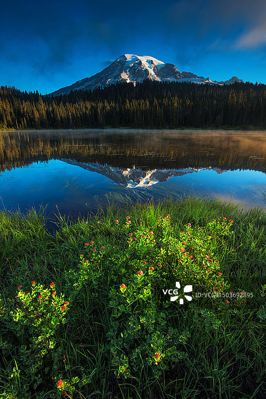 雷尼尔山图片素材