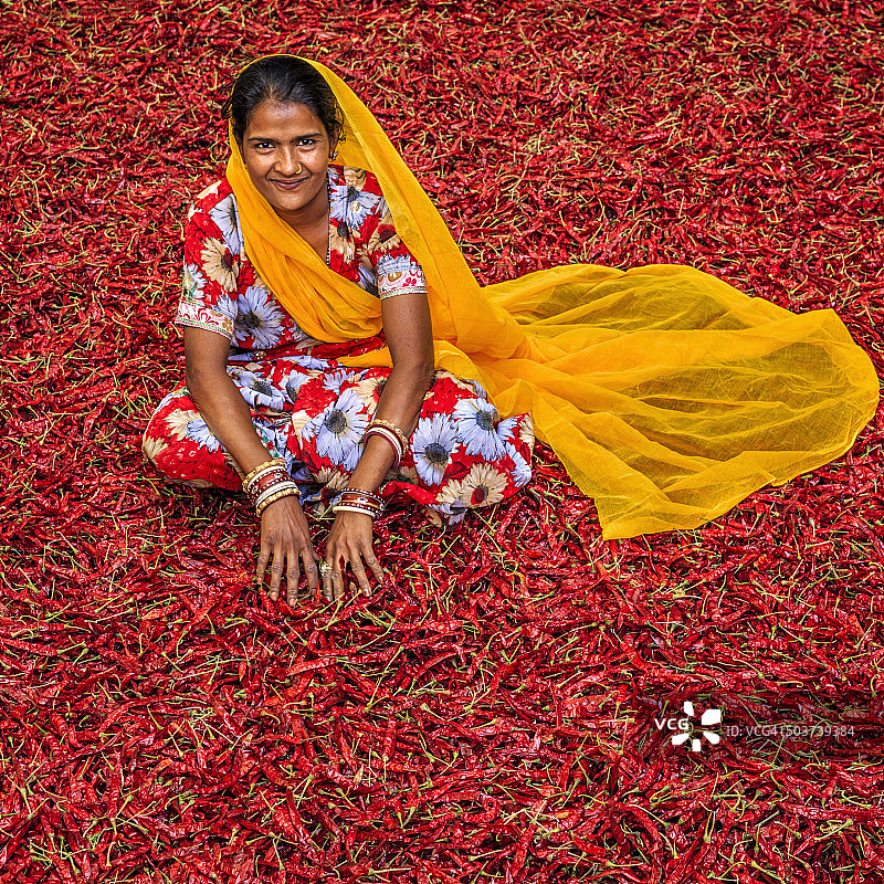 印度焦特布尔，分拣红色辣椒的年轻印度妇女图片素材