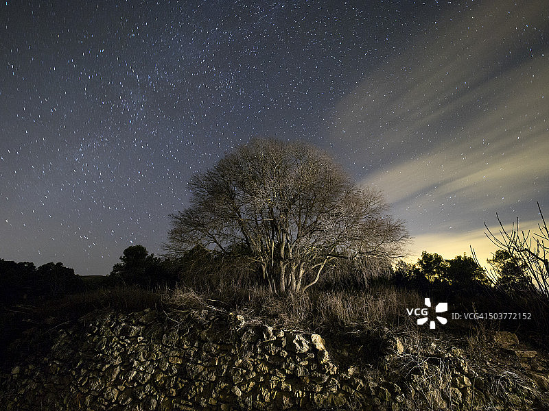 冬夜山间田野里的落叶树图片素材