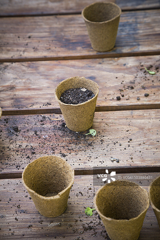 装有育苗盆和土壤的木桌图片素材