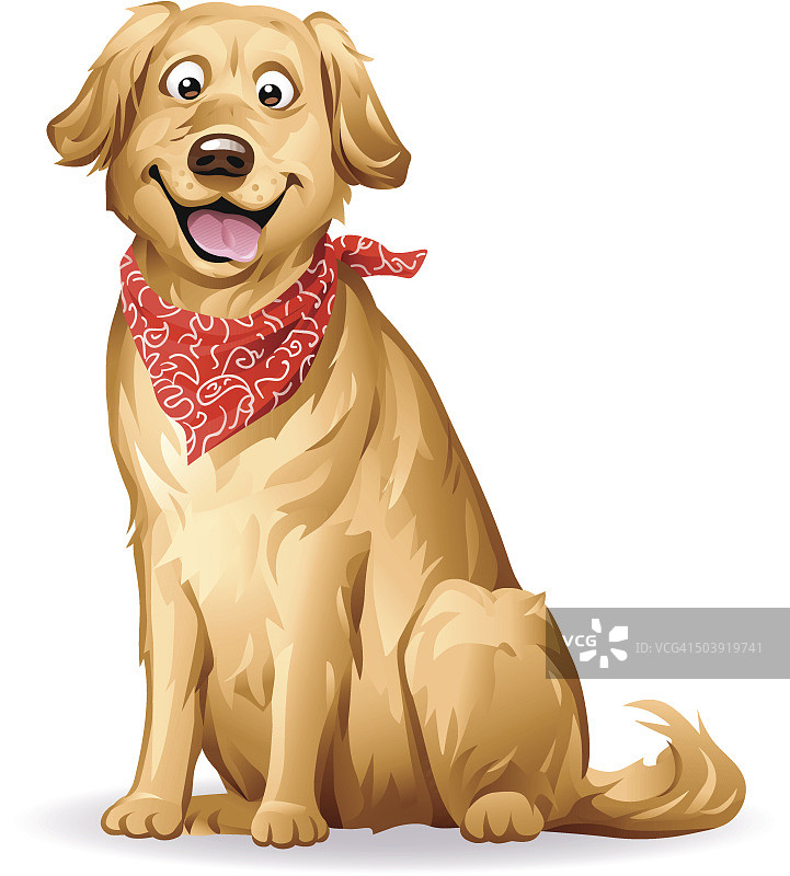 金毛猎犬图片素材