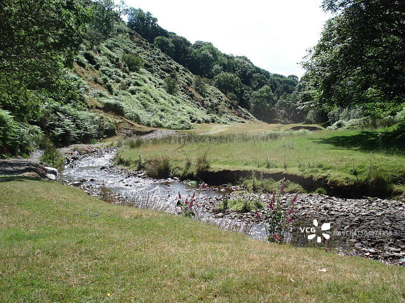 夏日溪流图片素材