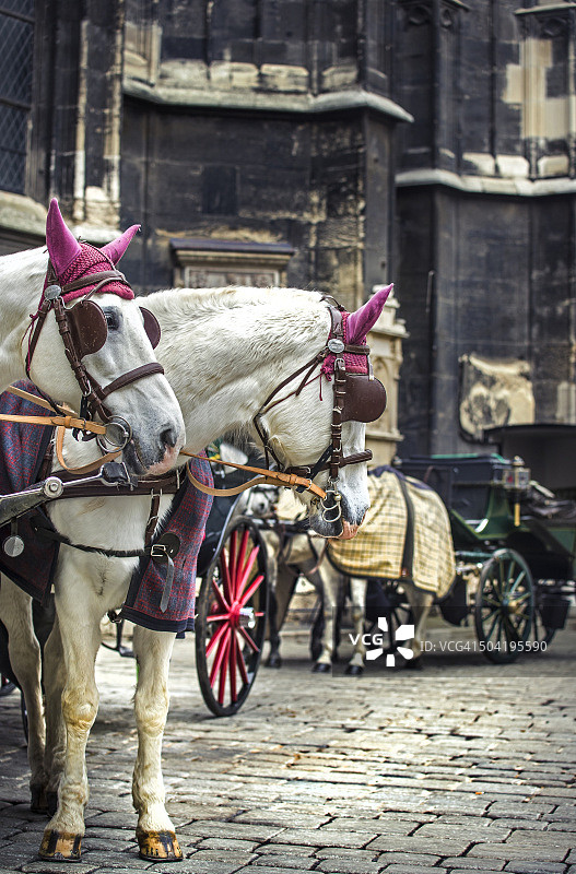 维也纳图片素材