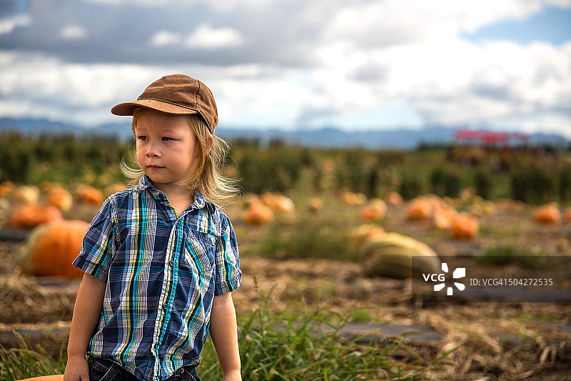 戴棒球帽的小男孩在南瓜地里图片素材