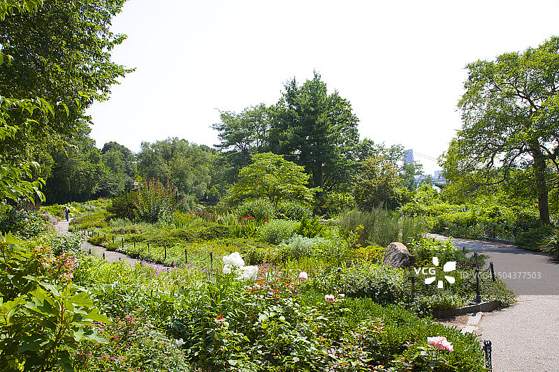 公园内茂盛的多年生花园概览图片素材