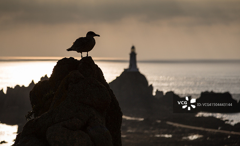 拉科比埃角日落，泽西岛图片素材