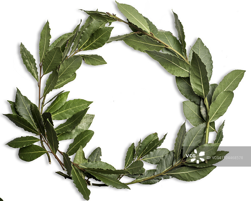 月桂花冠图片素材