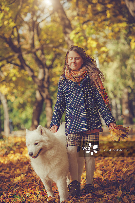 秋天里的女孩和小狗图片素材
