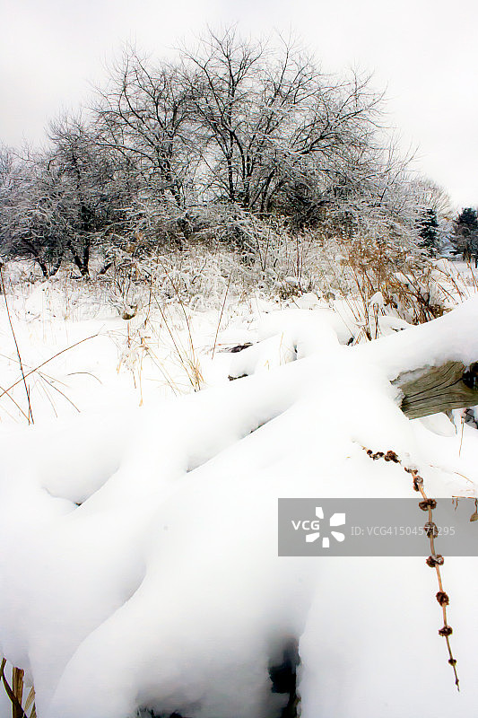 大雪后的草地图片素材