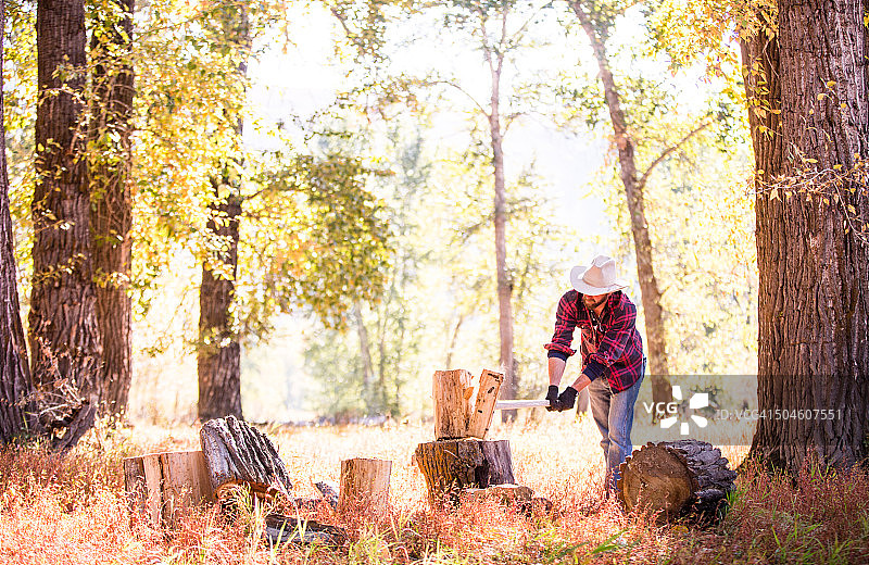 男人在阳光明媚的森林里砍柴图片素材