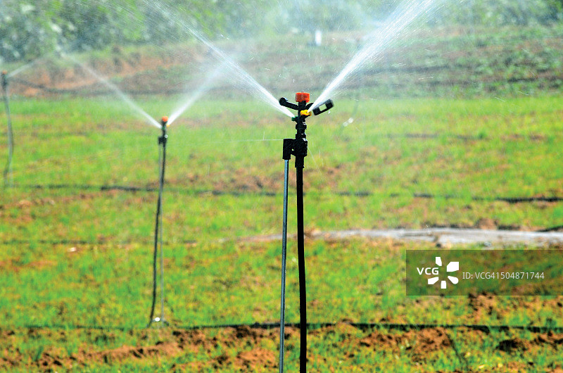 印度古吉拉特邦的喷灌图片素材
