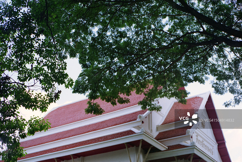 树木与建筑图片素材