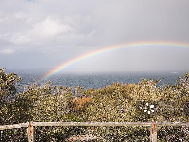 悉尼北角本土植物之上的彩虹图片素材