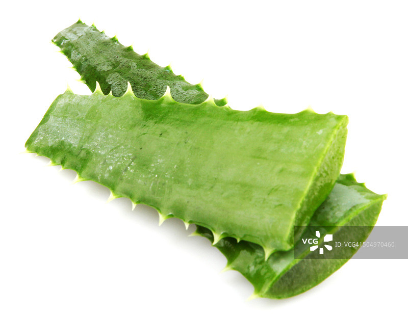 白色背景上分离的芦荟植物图片素材