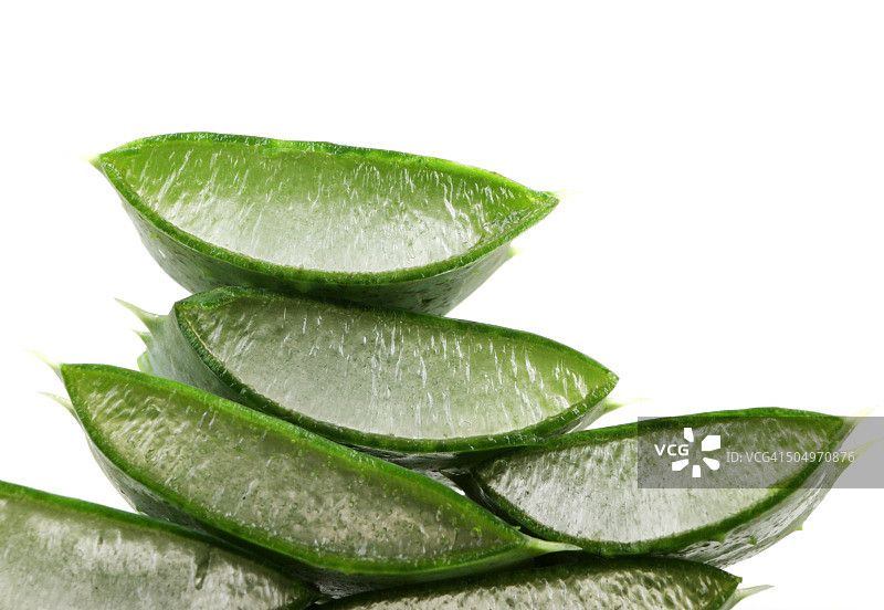 芦荟植物图片素材