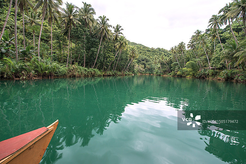 菲律宾保和岛洛博克河图片素材