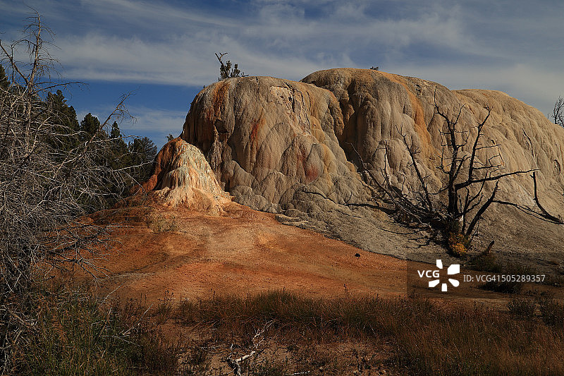 加那利群岛的春天景色图片素材