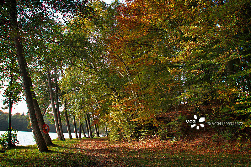 德国巴伐利亚森林秋景图片素材