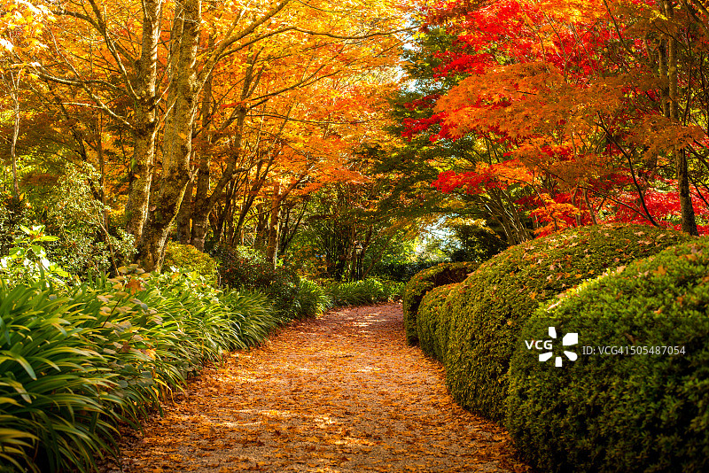 秋之色彩图片素材