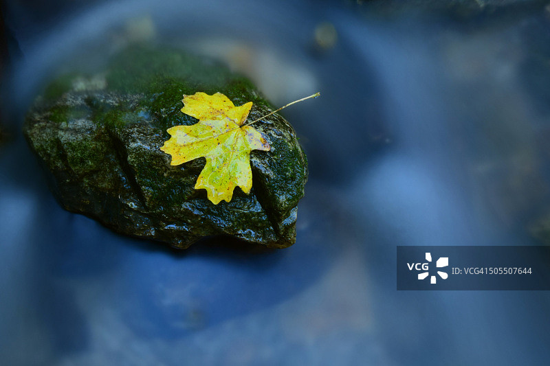 自然中的侘寂之美2图片素材