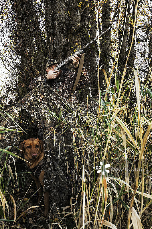 水禽狩猎图片素材