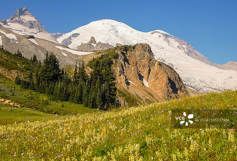 夏日花田图片素材