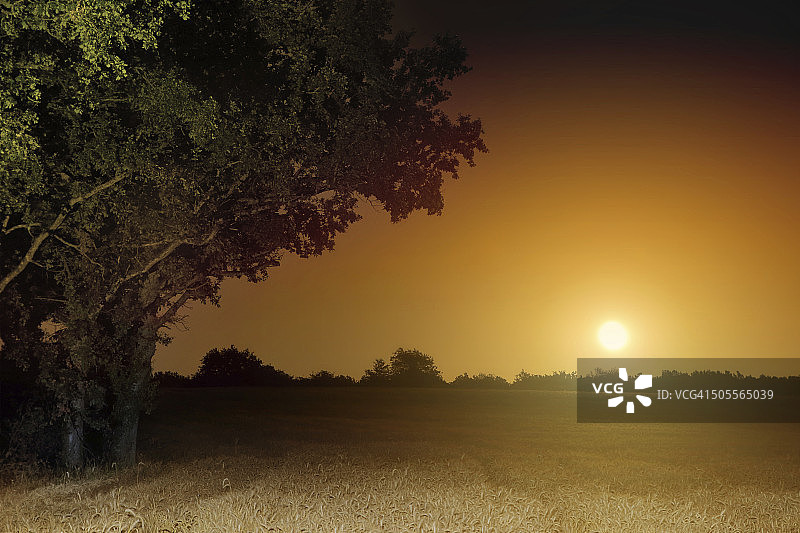 橙色满月升起的景色图片素材