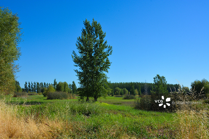 Bird Haven野生动物保护区美丽的夏季色彩图片素材