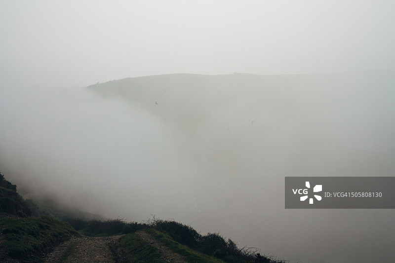 松树避风港的雾图片素材