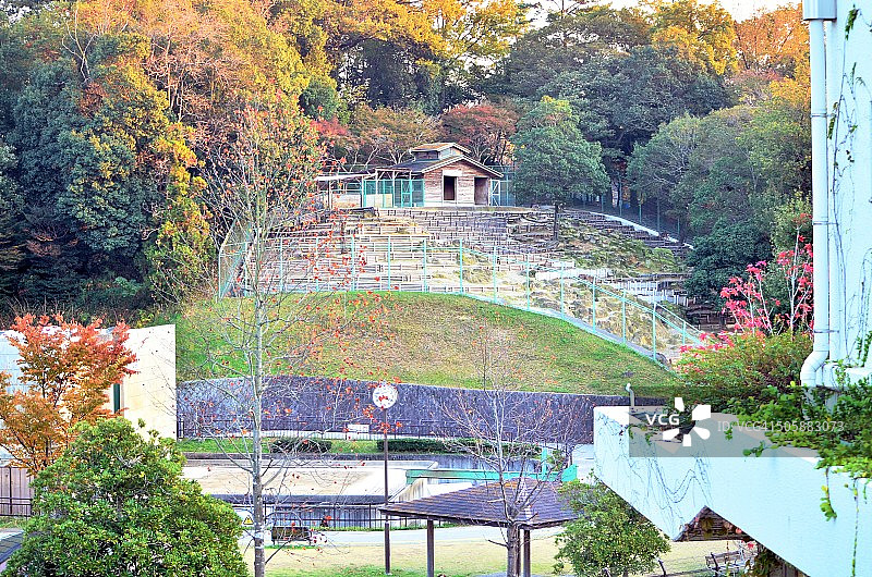 动物房屋图片素材