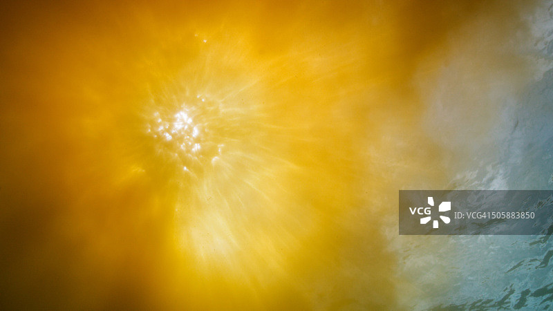 藻华/赤潮的水下视角图片素材