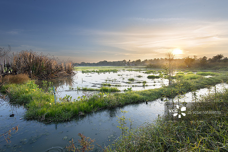 稻田日落图片素材