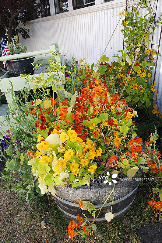 城市园艺图片素材