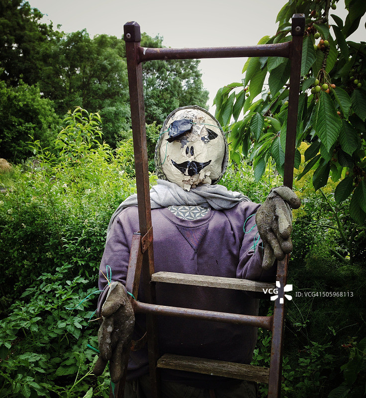 城市园艺图片素材